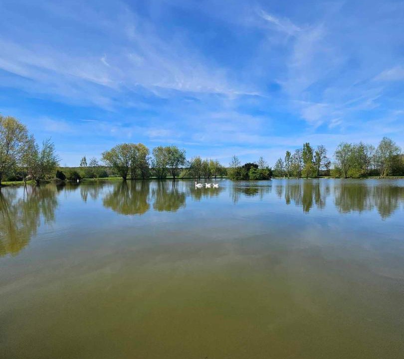 Photo of Others in Chessy-les-Pres