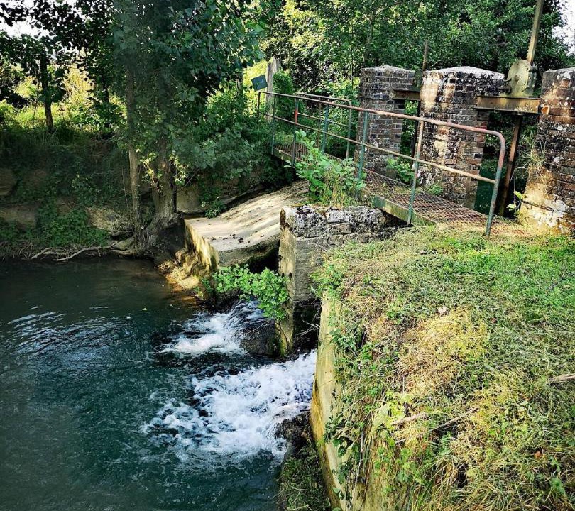 Photo of Others in Chessy-les-Pres