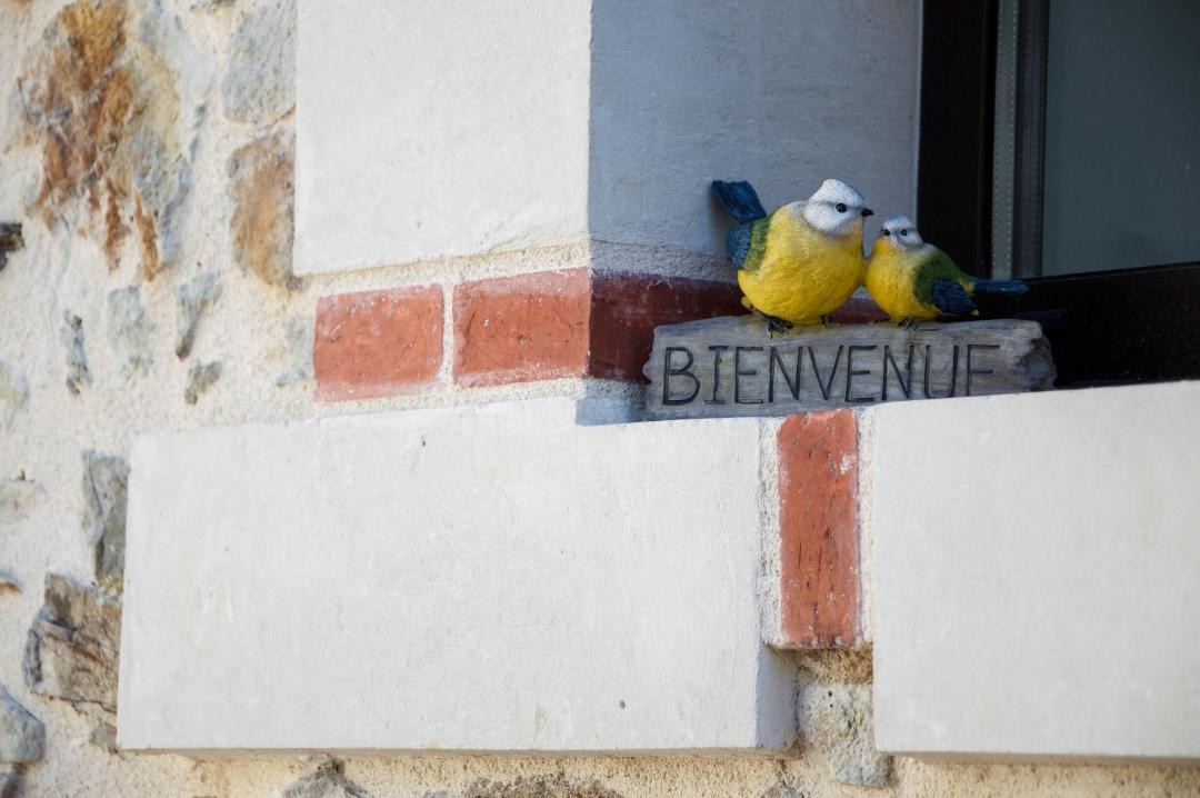 Photo of Others in Montjean-sur-Loire