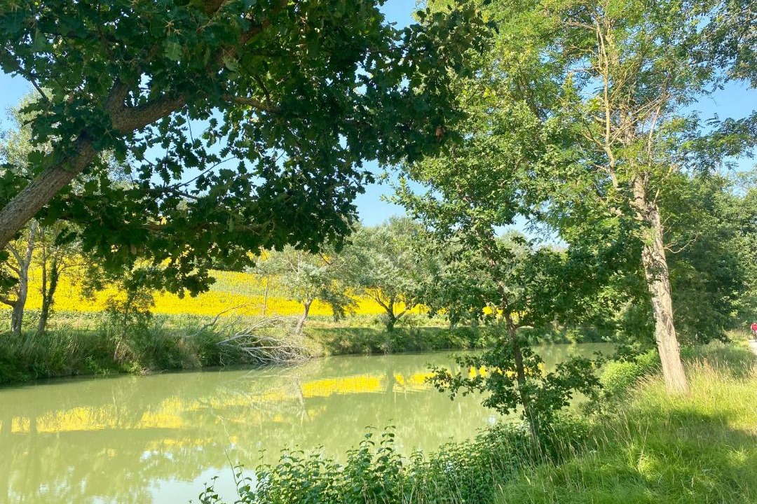 Photo of Others in Villefranche-de-Lauragais