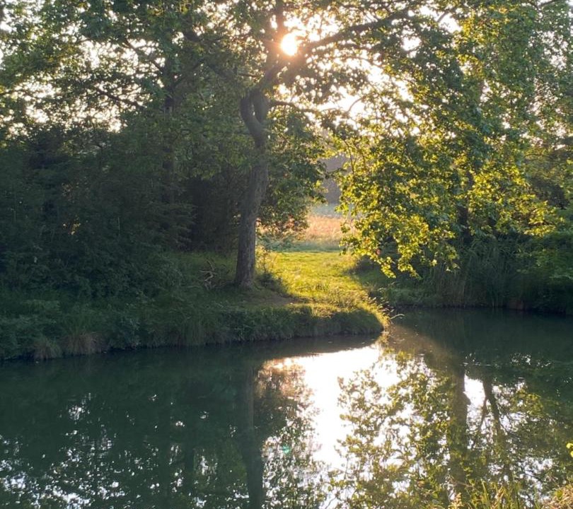 Photo of Others in Villefranche-de-Lauragais