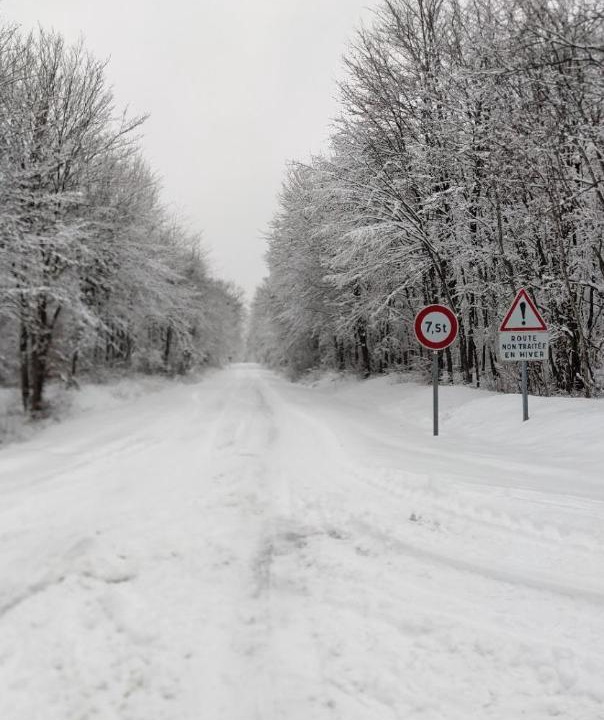 Photo of Others in Lamorville