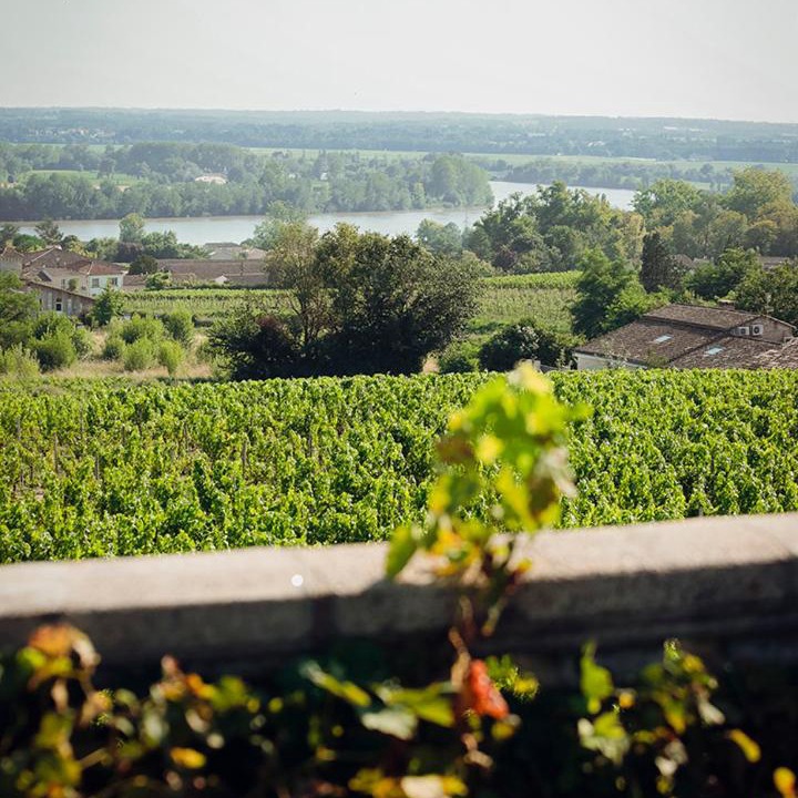Photo of Others in Fronsac