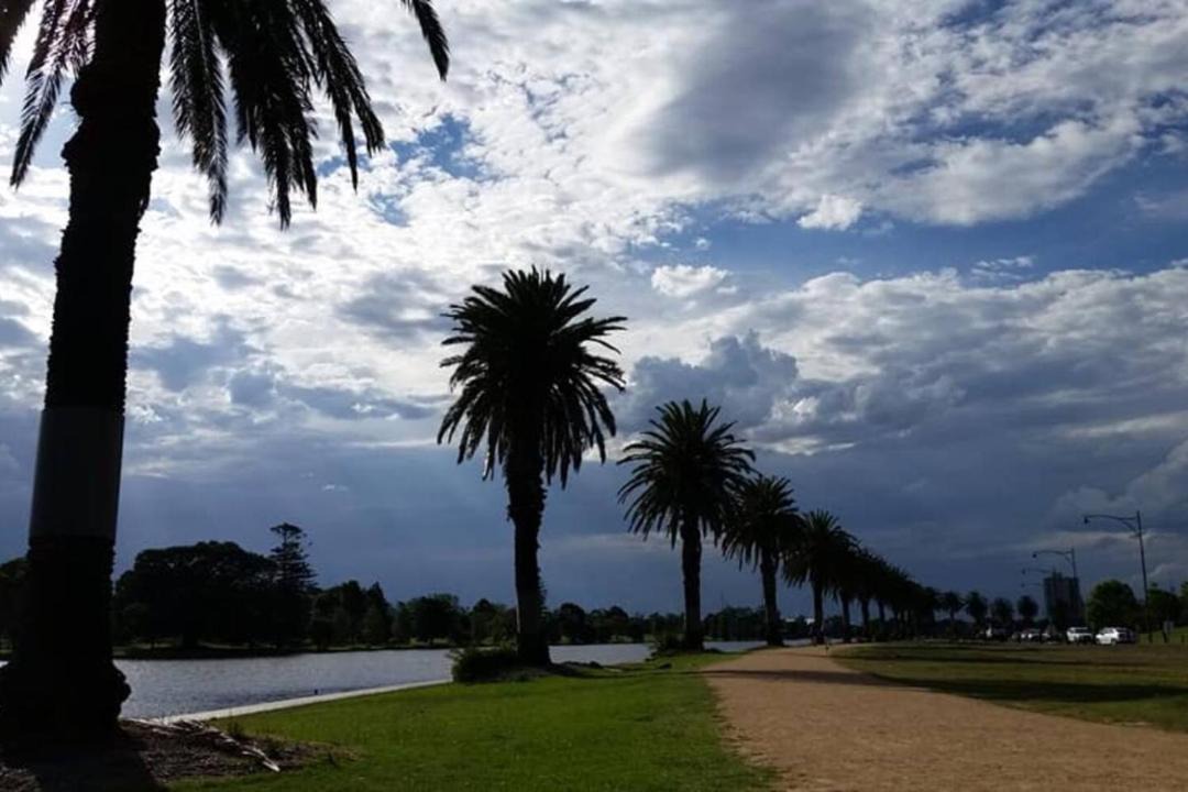 Photo of Others in St Kilda