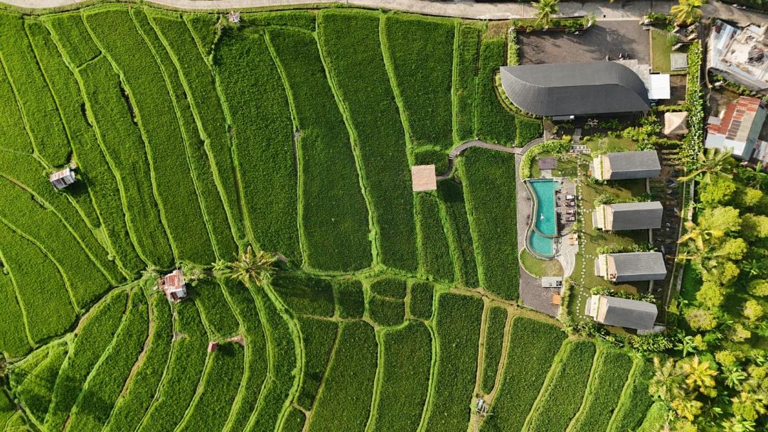 Photo of Others in Munduk