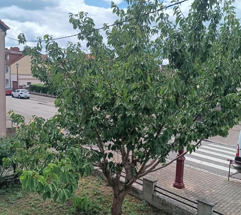 Photo of Outdoor in Sarralbe