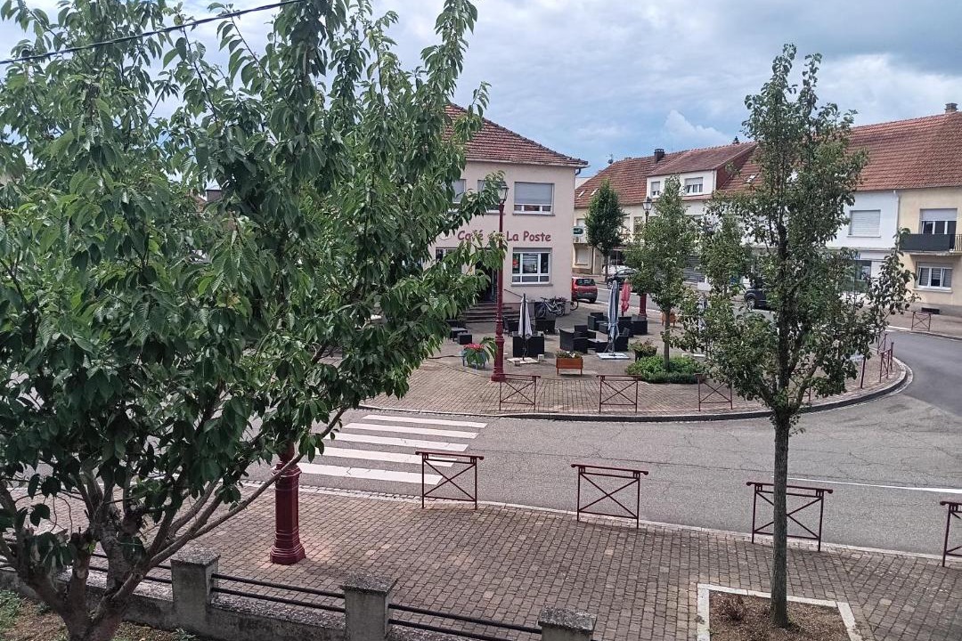 Photo of Others in Sarralbe