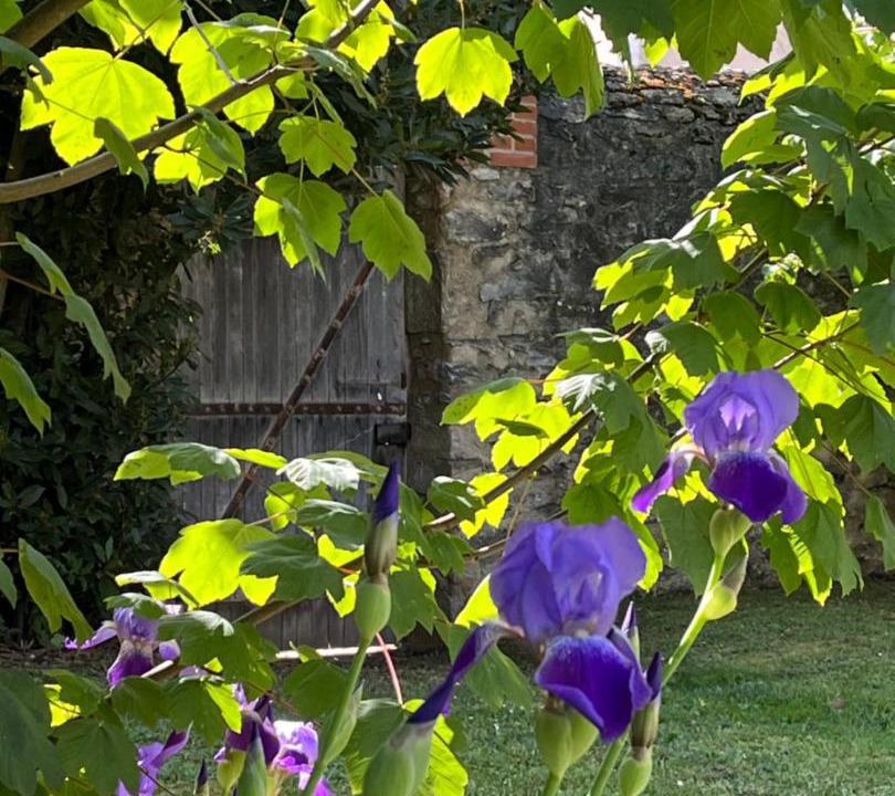 Photo of Outdoor in Fresnay-sur-Sarthe