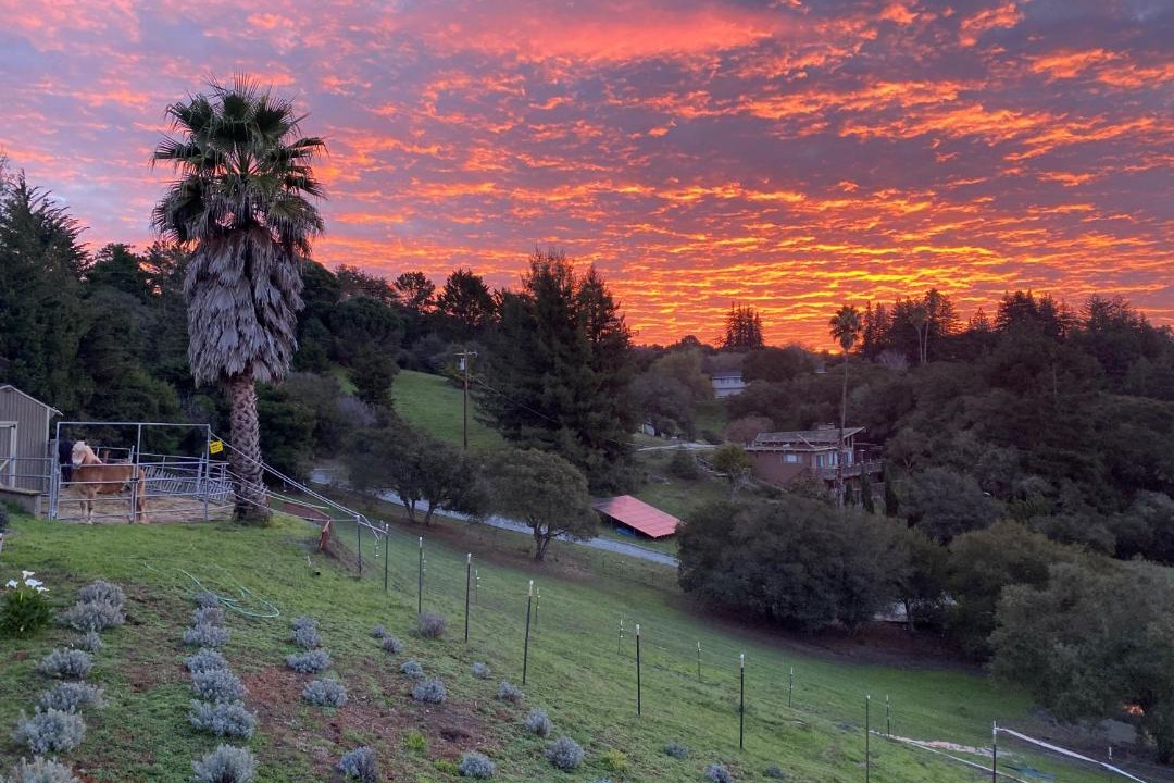 Photo of Others in Watsonville