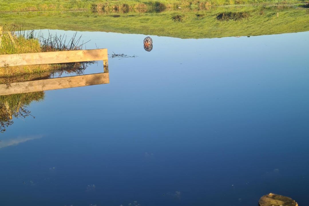 Photo of Others in Te Kopuru