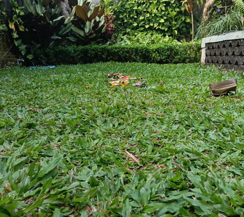 Photo of Outdoor in Bongkasa Pertiwi