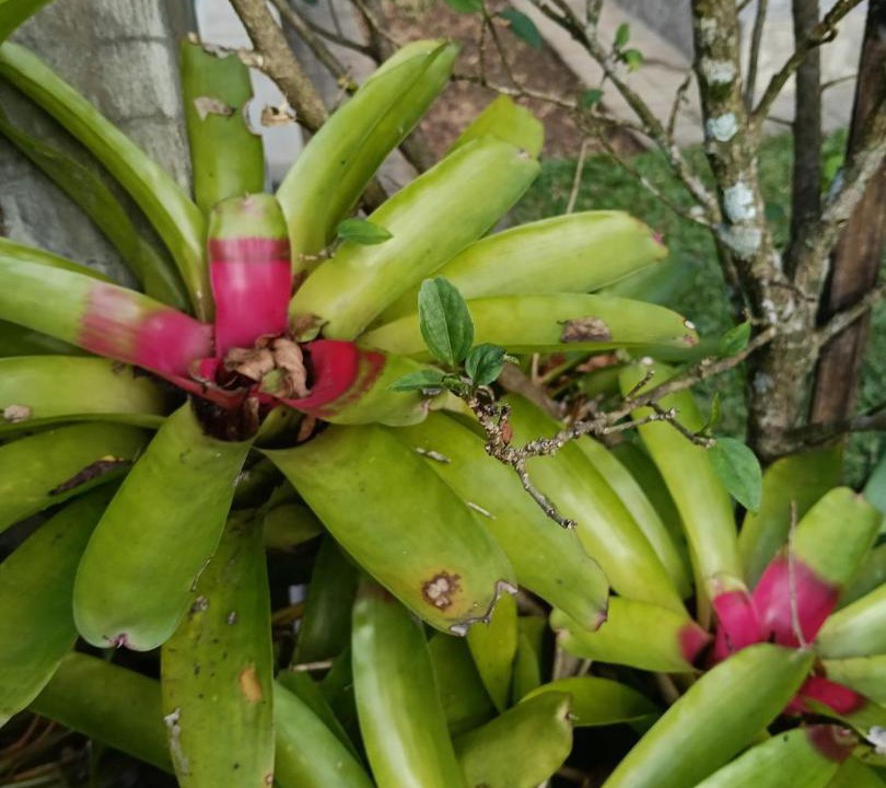 Photo of Outdoor in Bongkasa Pertiwi
