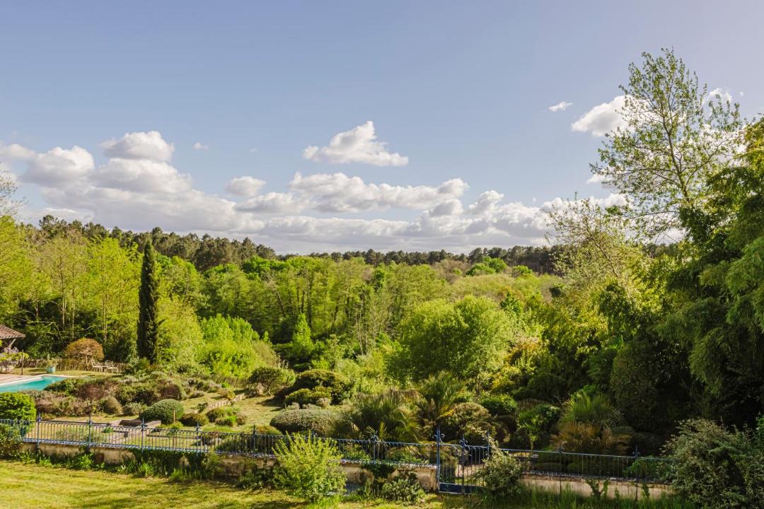 Photo of Others in Sore