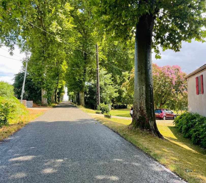 Photo of Others in Castex-d'Armagnac