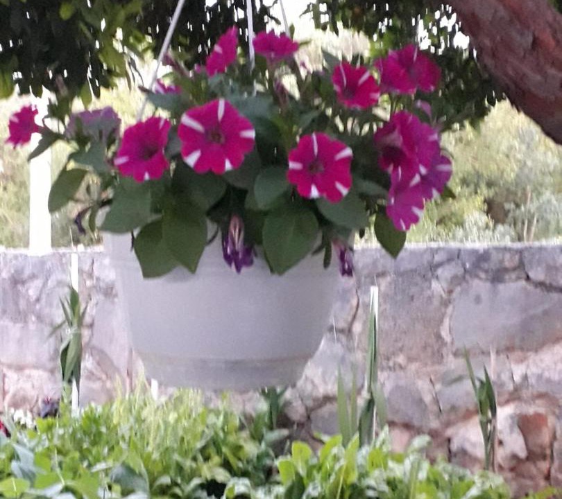 Photo of Others in Necujam