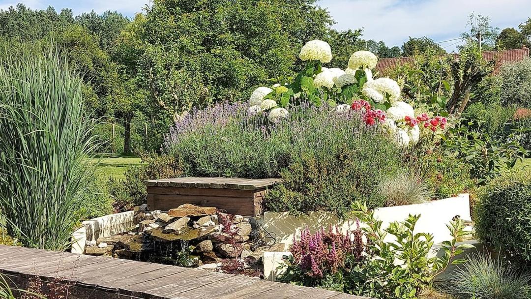 Photo of Others in Cavron-Saint-Martin