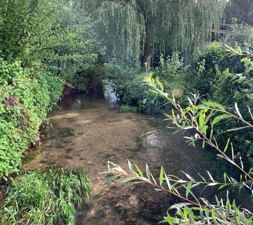 Photo of Others in Cavron-Saint-Martin