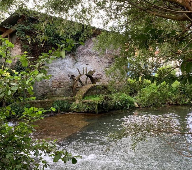 Photo of Others in Cavron-Saint-Martin