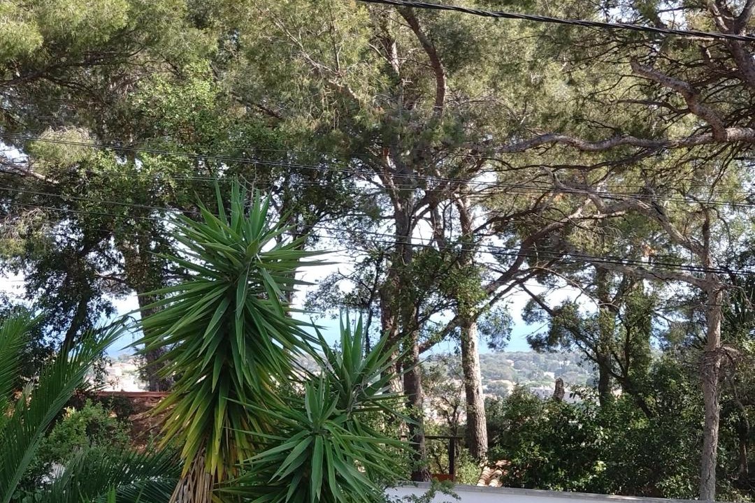 Photo of Outdoor in La Seyne-sur-Mer