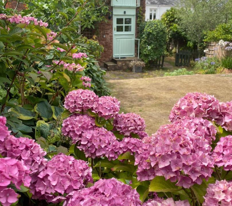 Photo of Others in Bishops Lydeard