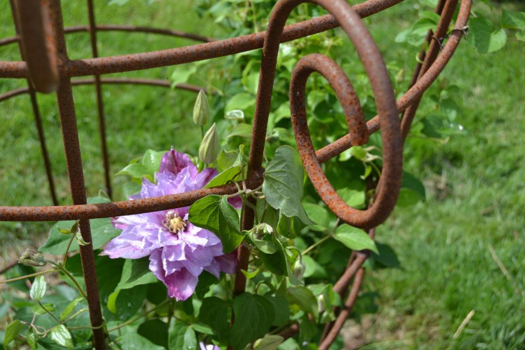 Photo of Others in Lystrup