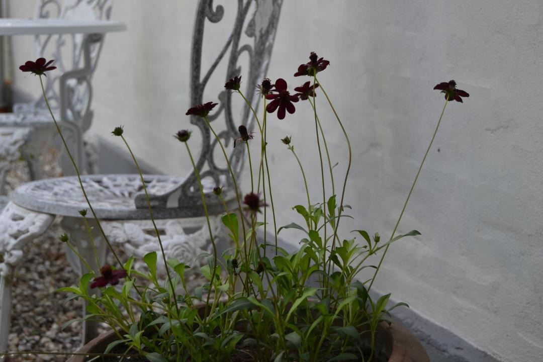 Photo of Others in Lystrup