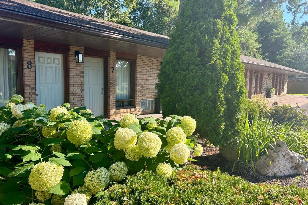 Photo of Others in Ottawa Division