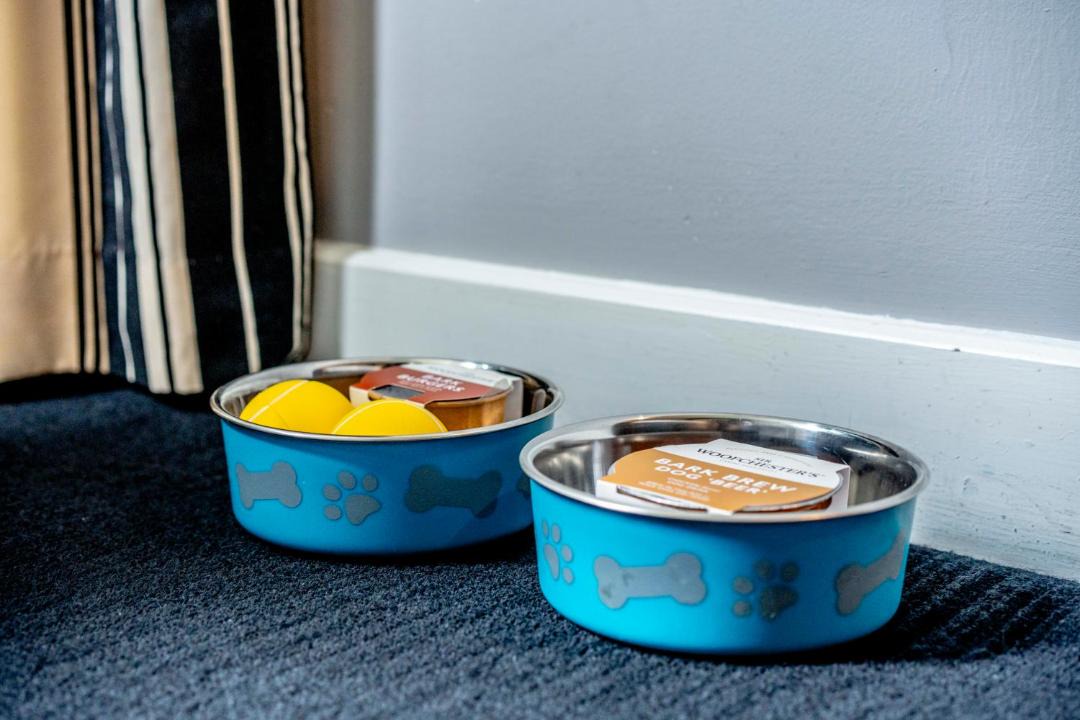 Photo of Others in Stirling