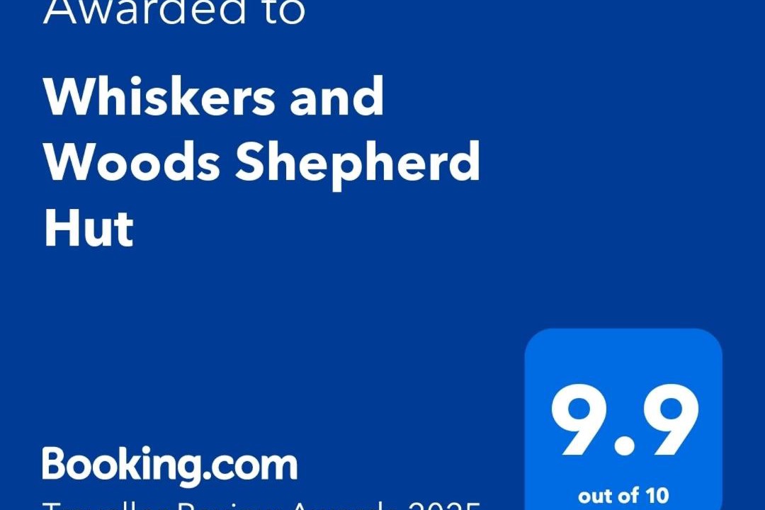 Photo of Others in Eye