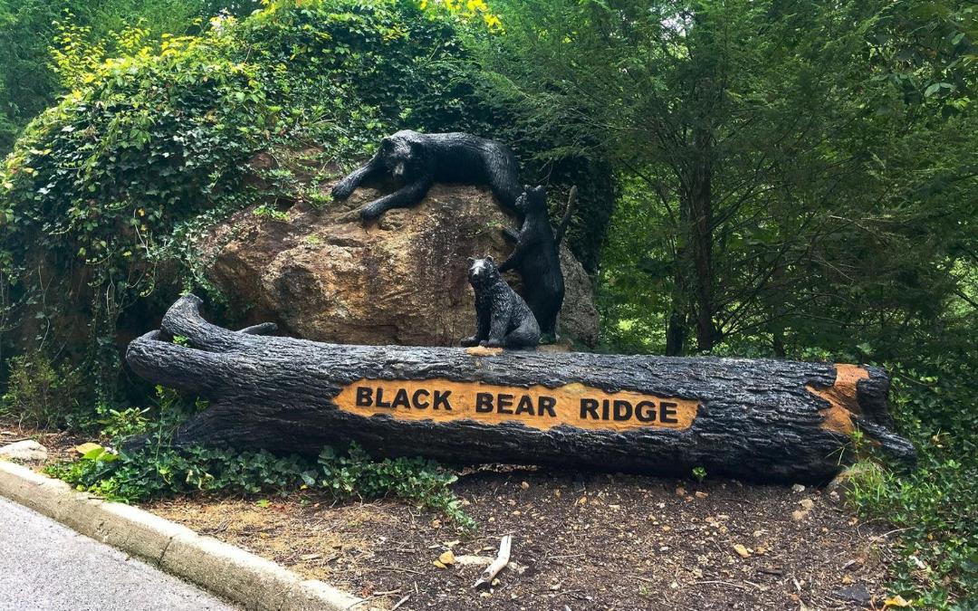 Photo of Others in Pigeon Forge
