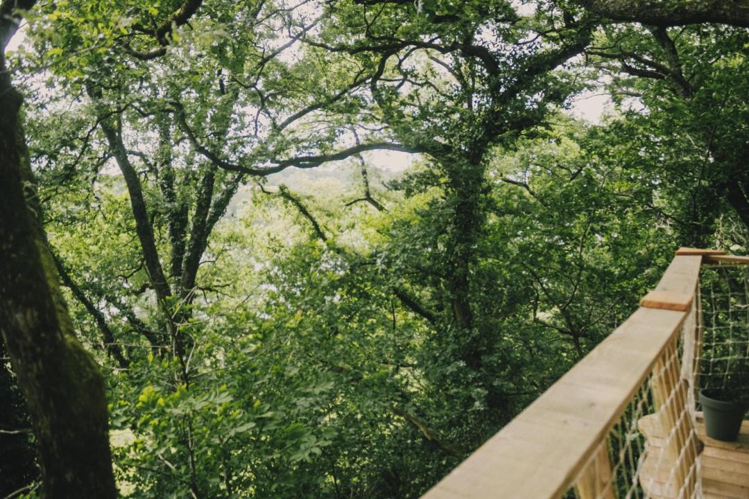 Photo of Others in Coudures