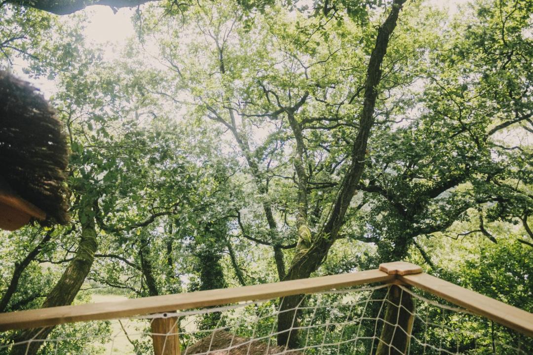 Photo of Others in Coudures