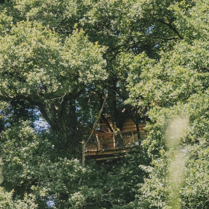 Photo of Others in Coudures