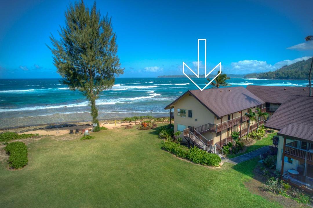 Photo of Others in Wainiha