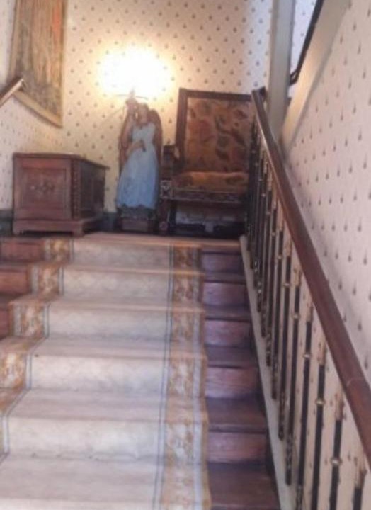 Photo of Others in Naves