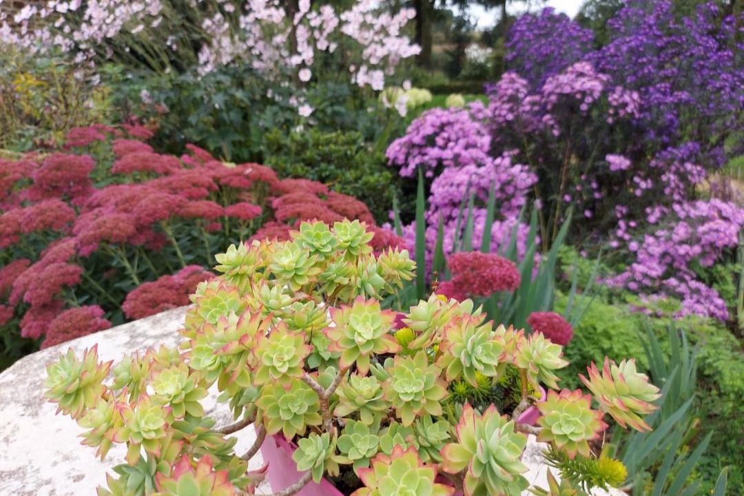 Photo of Outdoor in La Pellerine