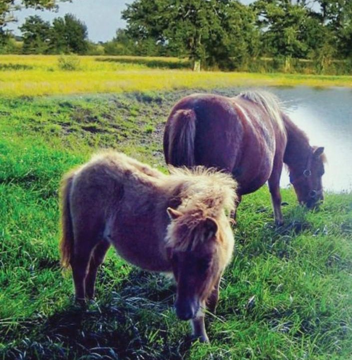Photo of Others in Mayenne