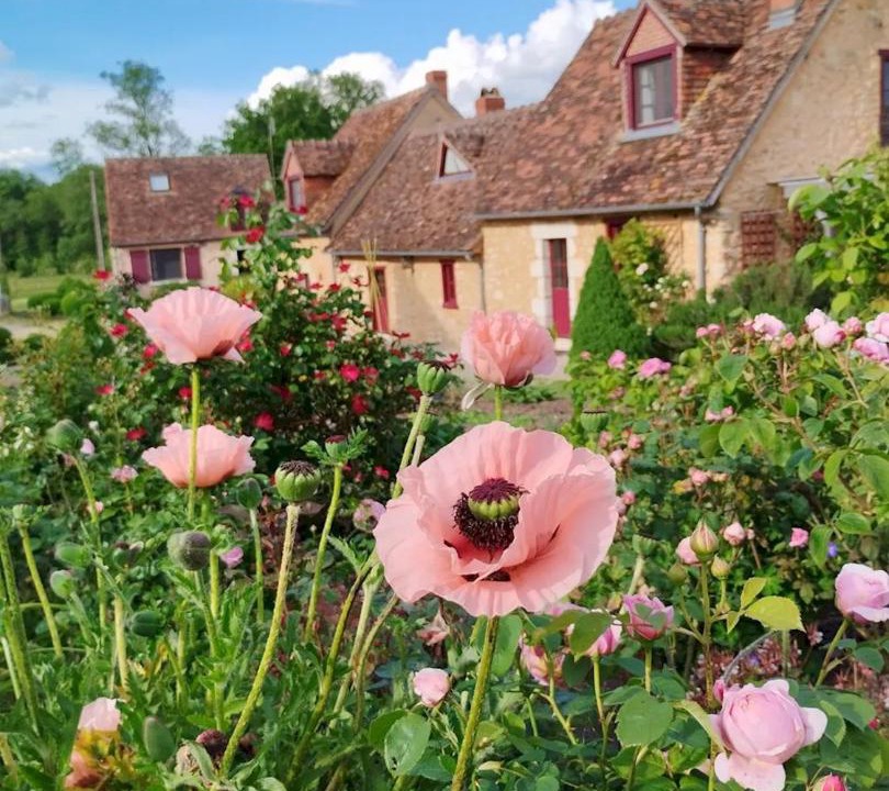 Photo of Others in Meobecq