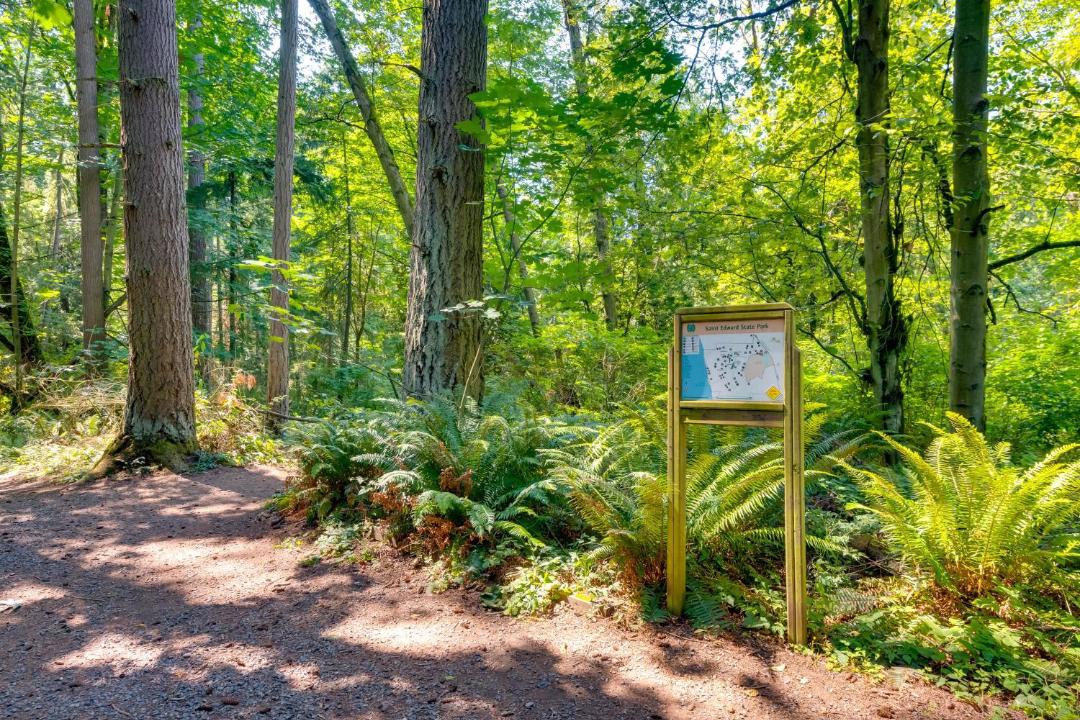 Photo of Others in Kenmore