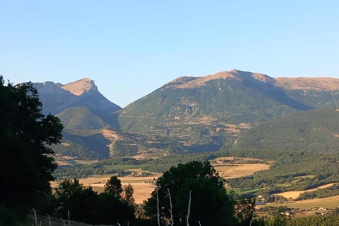 Photo of Others in Bourdeaux