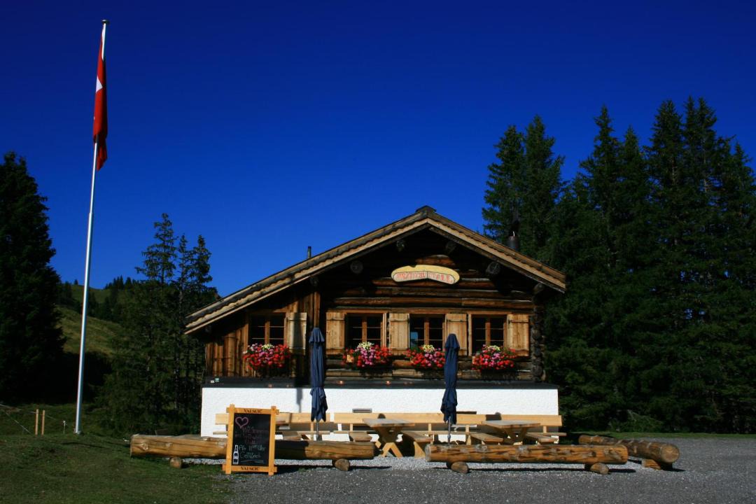 Photo of Others in Arosa