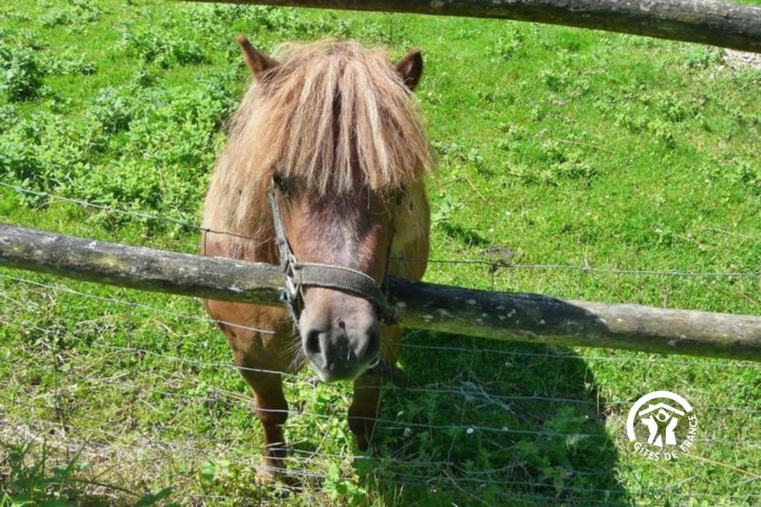 Photo of Others in Chateau-Gontier