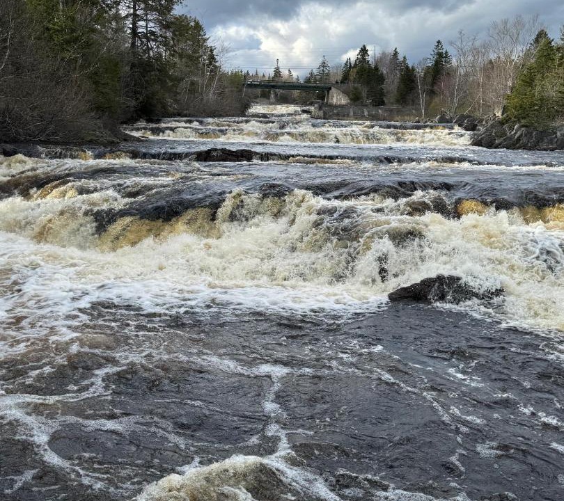 Photo of Others in Sheet Harbour