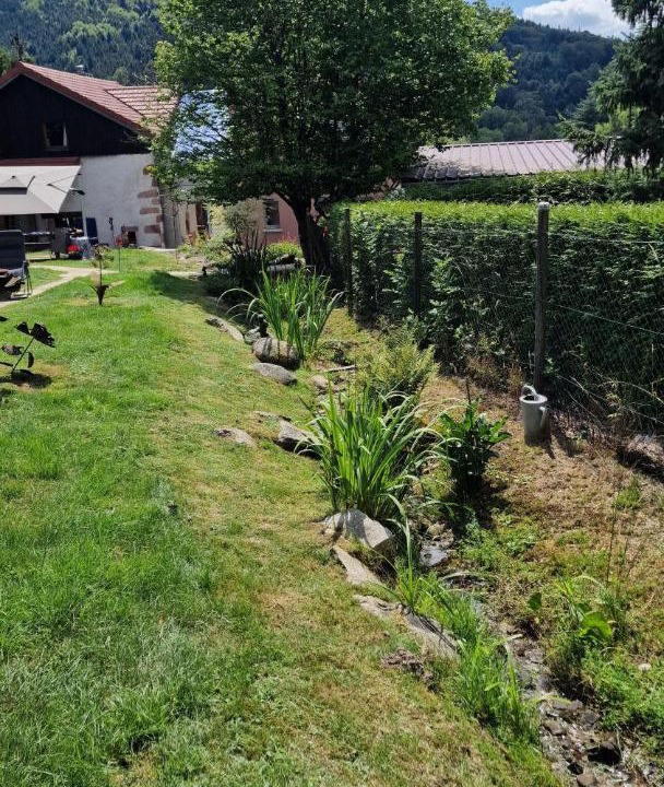 Photo of Others in Laveline-du-Houx