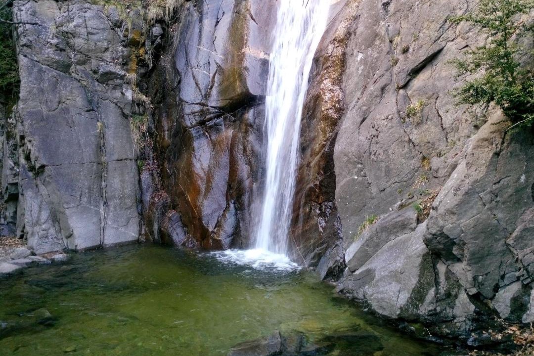 Photo of Others in Ribes De Freser