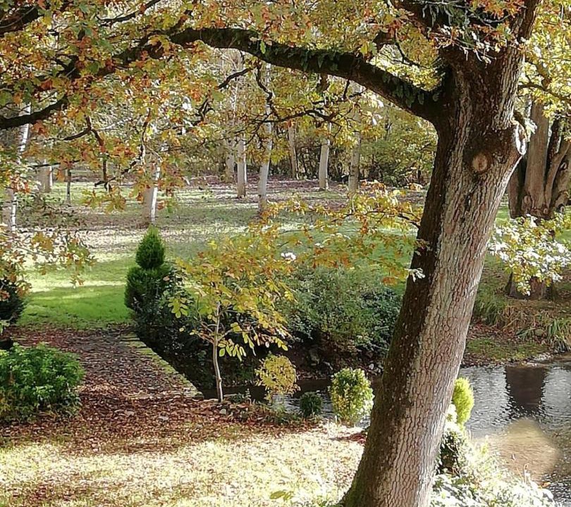 Photo of Others in Voutre