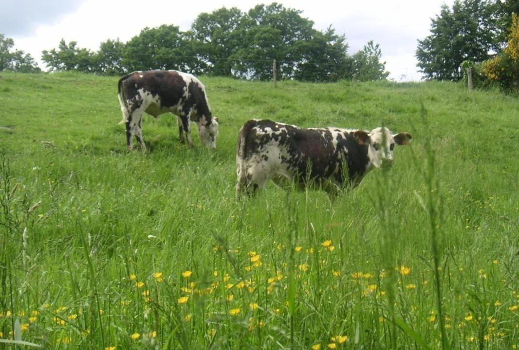 Photo of Others in Saint-Aubin-Fosse-Louvain