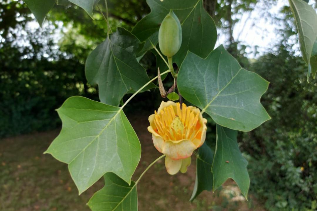Photo of Outdoor in Saint-Aubin-Fosse-Louvain