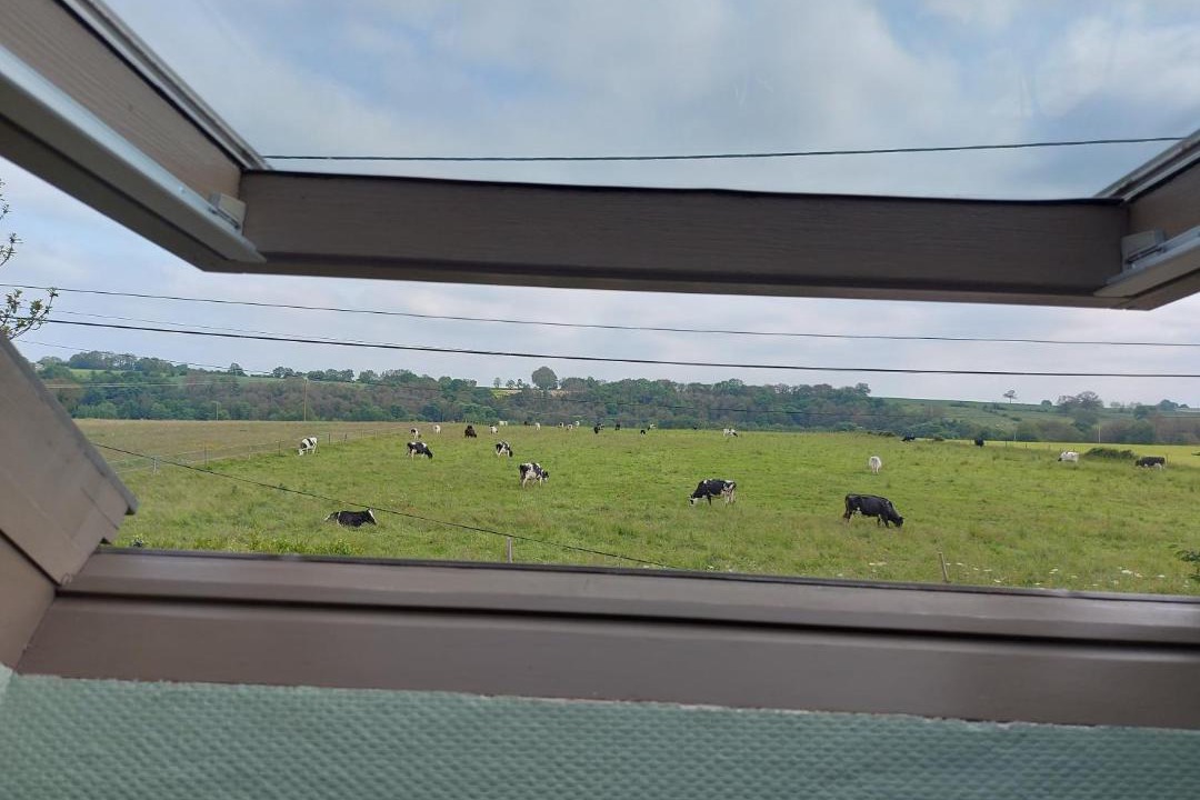 Photo of Others in Renaze