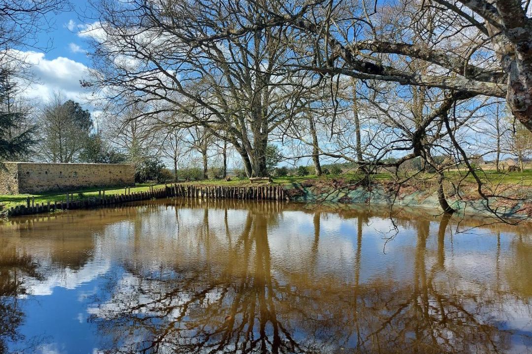 Photo of Others in Vaiges